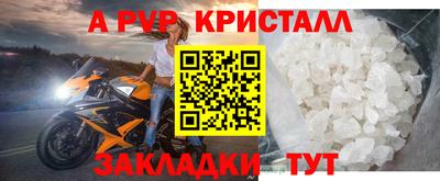 крисы Кингисепп