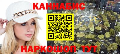 крисы Кингисепп