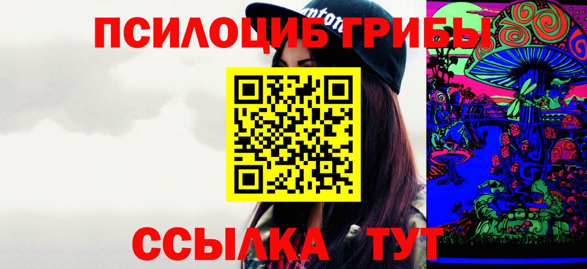 Псилоцибиновые грибы Psilocybe  Вход с VPN  Барабинск 