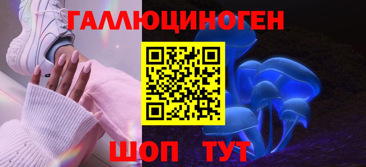 Галлюциногенные грибы Psilocybe Барабинск